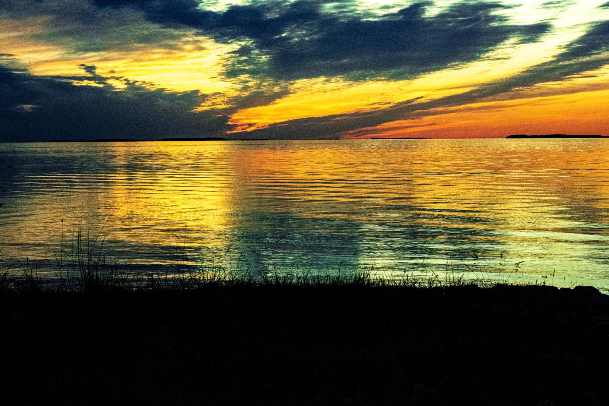 Muhusi Linnumaja Igakula Bagian luar foto